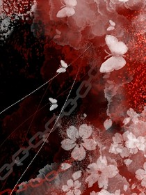 棉花糖的梦