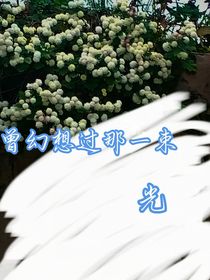 曾幻想过那一束光