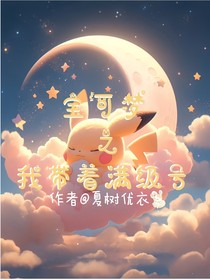 宝可梦之我带着满级号