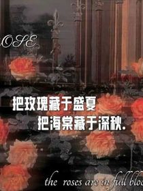 ALL左：玫瑰爱意