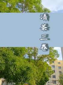 清茶三卷