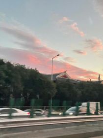 张真源：榆树下的阴影