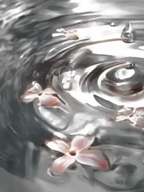 十二年的约定