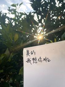 怀念东升