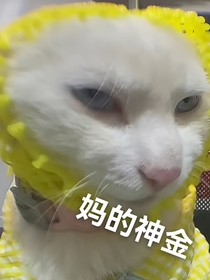 我弄丢了你