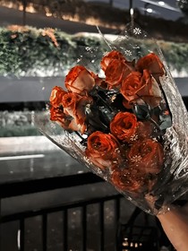 风起之时（破镜重圆）