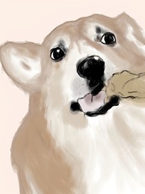 作文素材分享a