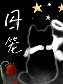 囚笼游戏——