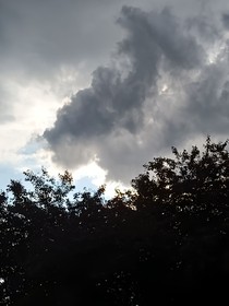成神攻略