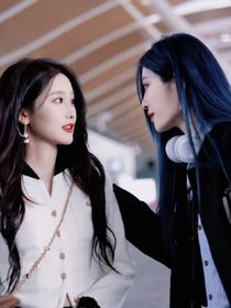 杀手的老婆动不得