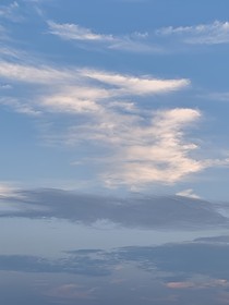 人间六月花（无意悲凉）