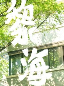 黎海