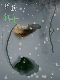 重获新生（荷）