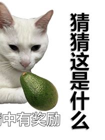 啥作品不知