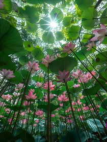 超爱写文案