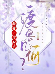 狐狸，你今天渡客几何？