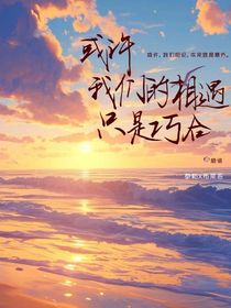 或许我们的相遇只是巧合
