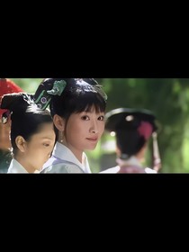 陵容重生之妄生意