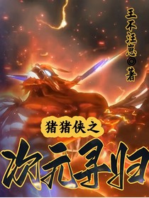 豬豬俠之次元尋歸