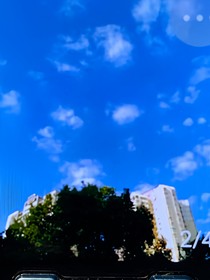 历史喵：江湖再见