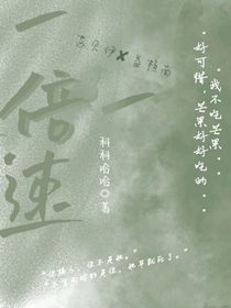 一倍速