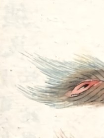 山海經(jīng)來(lái)到大賽-d451