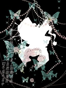 镜内