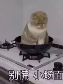 陳小姐隨筆