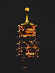 綜影視：今天也在破壞劇情中