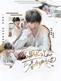 TF四代：遇见她如春水映梨花