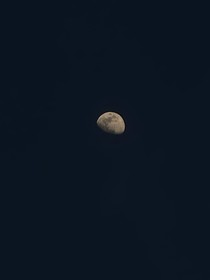 白日盛夏