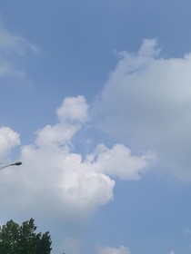替嫁為妻