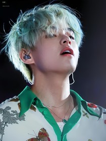 玫瑰自白诗……