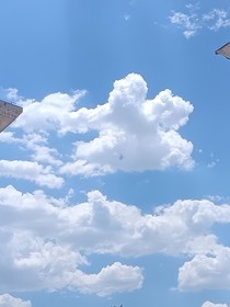 团厌翻身成吉祥物