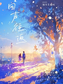 回声往返