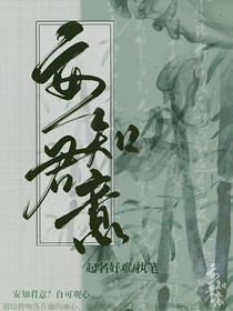 安知君意