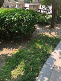 你说下次见