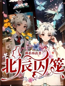 北辰囚笼