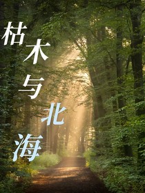 枯木與北海