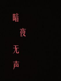暗夜无声