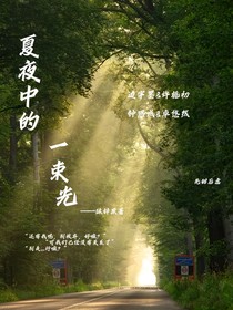 夏夜中的一束光