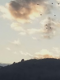 元素領(lǐng)域——修仙之地