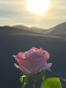 离别总是无声