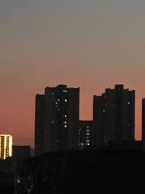 失约半夏