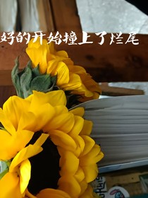 好的開始撞上了爛尾