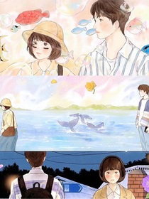 韩综如梦