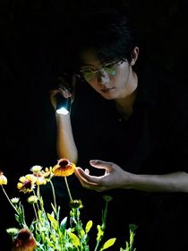 桴