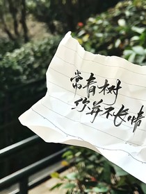 常青树会长情吗