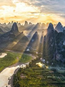 夏天与榕树，我与玫瑰少年