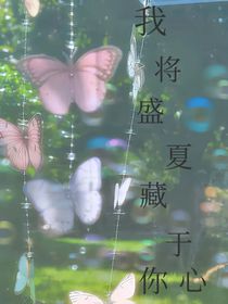 我将盛夏藏于你心
